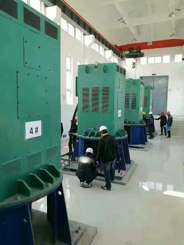 游仙某污水处理厂使用我厂的立式高压电机安装现场