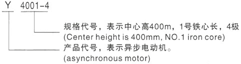 西安泰富西玛Y系列(H355-1000)高压游仙三相异步电机型号说明